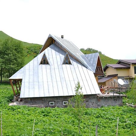 Отель Gudauri House Of The Sun Экстерьер фото